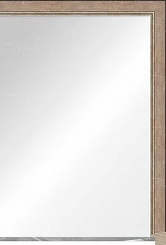 Зеркало в раме 7901.979