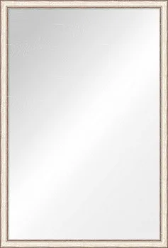 Зеркало в раме 7901.973